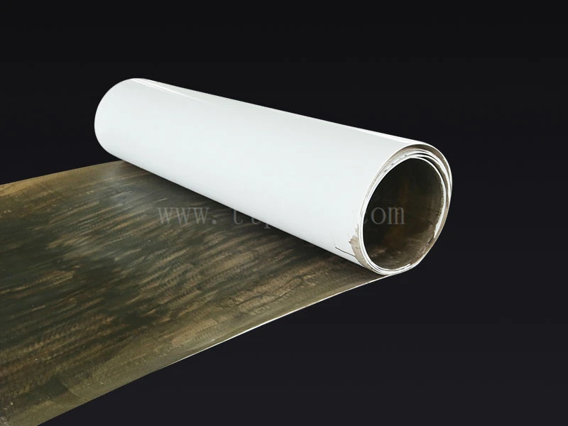 Tetrafluoro Sodium Plate